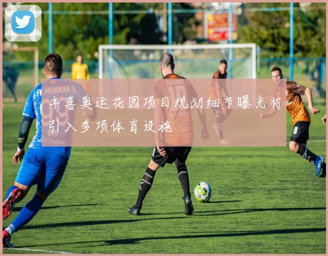 丰喜奥运花园项目规划细节曝光将引入多项体育设施